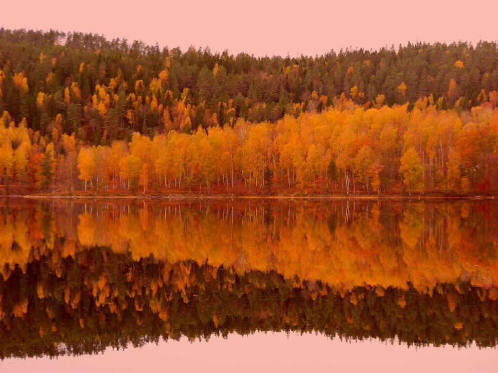 Edsleskogs Waerdshus Otel Åmål Dış mekan fotoğraf